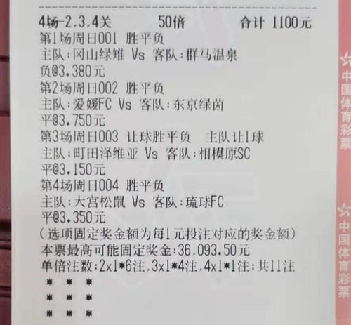 最准一码一肖100%精准的背景资料|实证解答解释落实_特别版.2.22